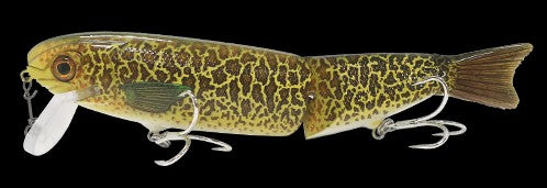 BALISTA TREMOR SURFACE LURE 200MM 97GM- MURRAY COD [LURECOLOUR:MURRAY COD]