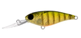 DAIWA INFEET KODACHI 40SF SUNNY GILL [LURECOLOUR:SUNNY GILL]