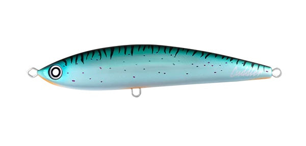 DAIWA SALTIGA CUDDLER 185F SLIMY [LURECOLOUR:SLIMY]