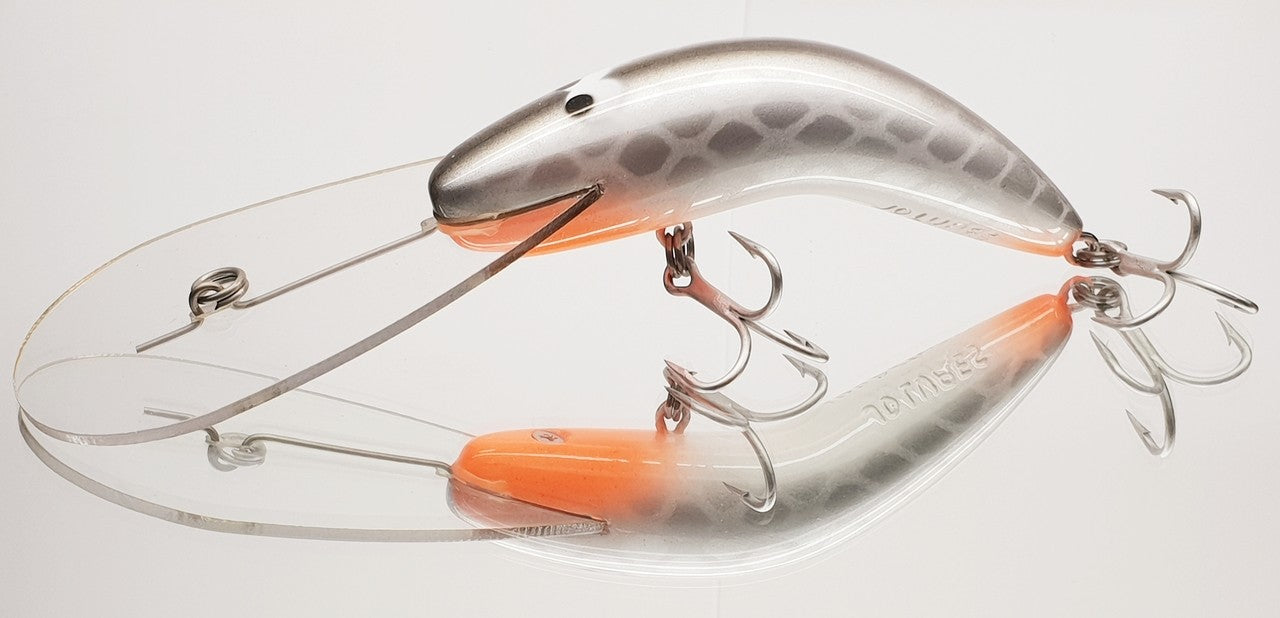 JD EDDY PYTHON 100MM DISCO CARP [LURECOLOUR:DISCO CARP]