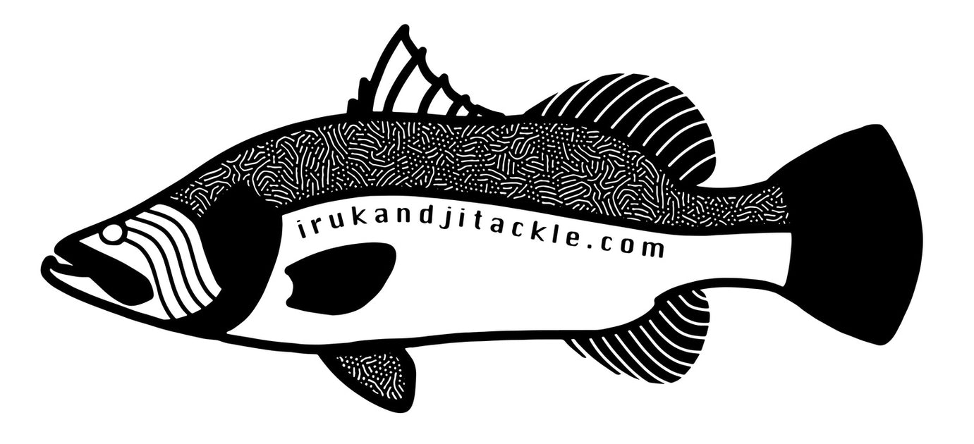 IRUKANDJI BARRAMUNDI STICKER - BLACK — H Rehfisch & Co