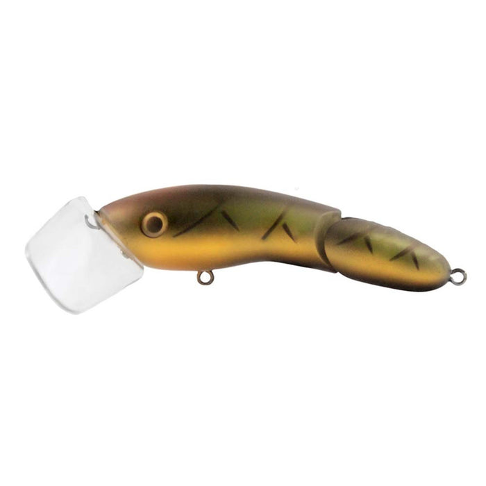 CODGER TOPWATER SURFACE LURE [LURECOLOUR:P028]