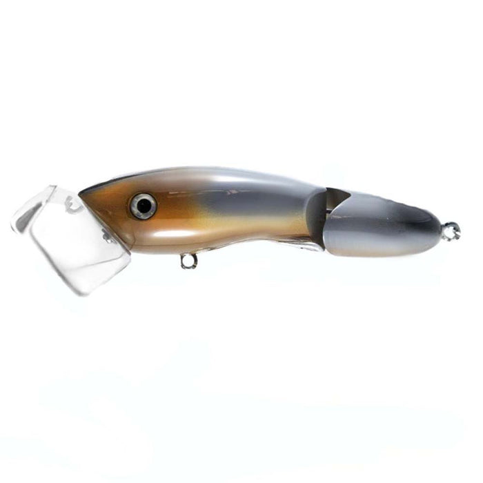 CODGER TOPWATER LURE COLOUR P242 [LURECOLOUR:P242]