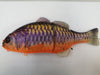 JACKALL GANTAREL 160MM PURPLE KOI [LURECOLOUR:PURPLE KOI]