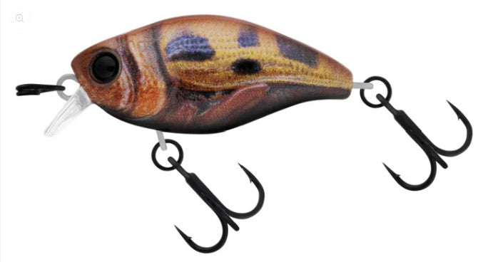 JACKALL MICRO CHUBBY 30F RT CUSTARD BUG [LURECOLOUR:RT CUSTARD BUG]