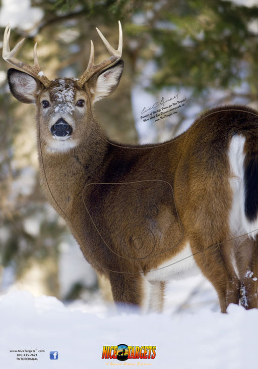 NICE TARGET DEER QUARTERING AWAY LEFT BUCKS  TARGET