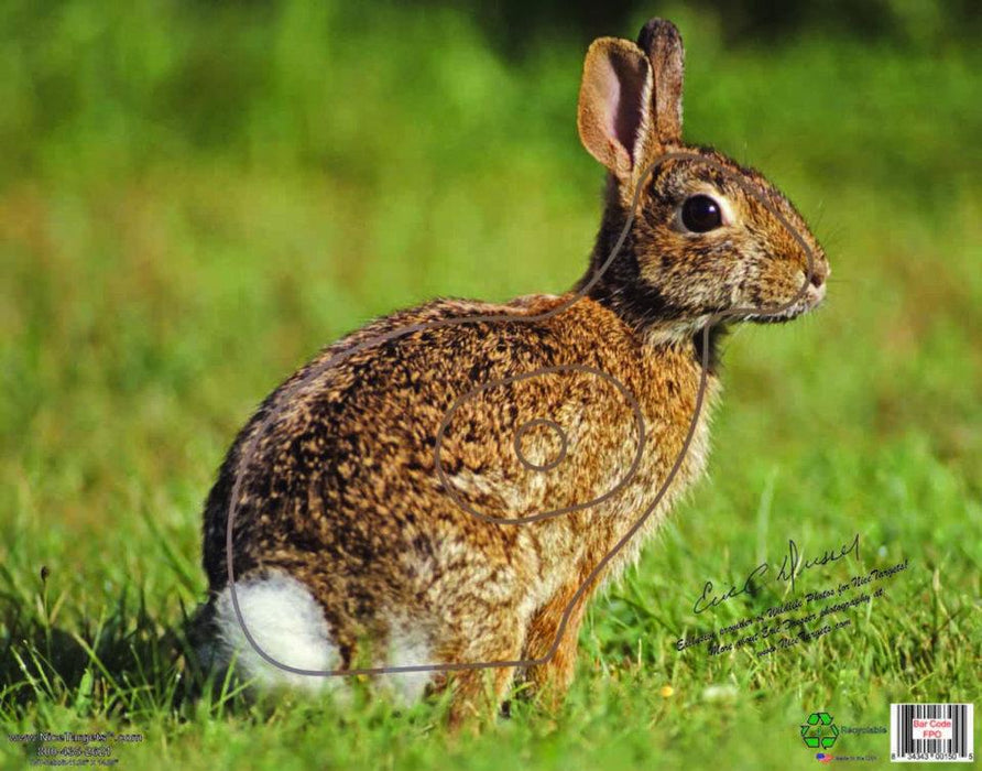 NICE TARGET RABBIT ARCHERY TARGET PLASTIC SHEET 11"X 14
