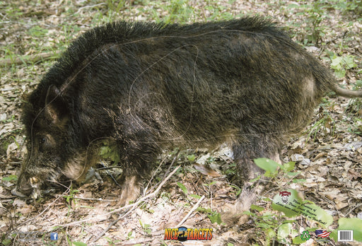 NICE TARGET WILDBOAR BL TARGET PLASTIC SHEET 28"X 40
