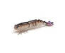 ZMAN PRAWNZ ELITE 3.5" UNRIGGED 3PK [LURECOLOUR:NATURAL PRAWN]