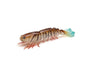 ZMAN PRAWNZ ELITE 3.5" UNRIGGED TIGER PRAWN [LURECOLOUR:TIGER PRAWN]