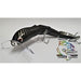 TAYLOR MADE WALKS ON WATER 190MM SURFACE LURE [LURECOLOUR:BLACK SCALE]
