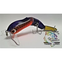 TAYLOR MADE WALKS ON WATER 190MM PURPLE CLOWN [LURECOLOUR:PURPLE CLOWN]