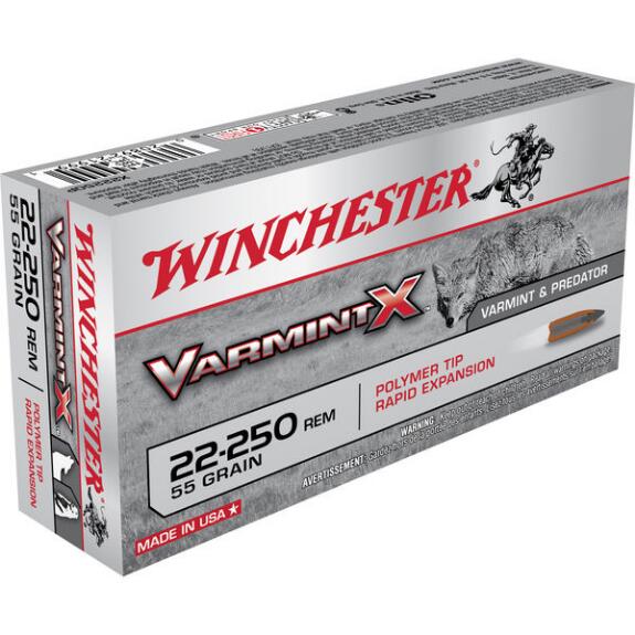 WINCHESTER VARMINT X 22-250 REM 55 GR PT 20 PK