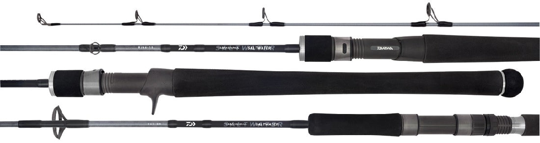 DAIWA TD SALTWATER 20 RODS